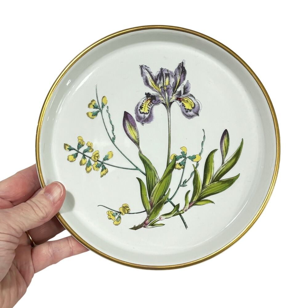 Spode stafford flowers tart baking dish iris & sphaerolibium 7" quiche plate